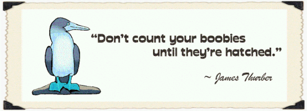 Don't count your boobies...